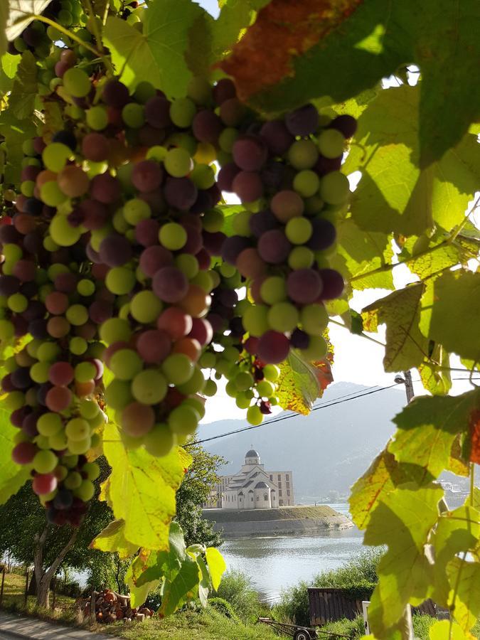 Cherry Flower Visegrad Exterior photo